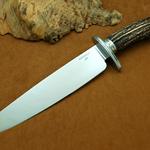 Stag Bowie 