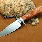Eastern Red Maple Burl